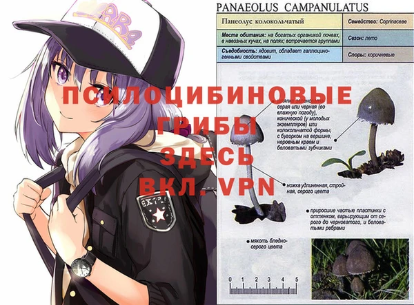 каннабис Верхний Тагил